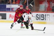 TIGERS - LAUSANNE