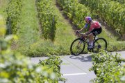 TOUR DE ROMANDIE FRAUEN 2023