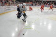 TIGERS - FRIBOURG