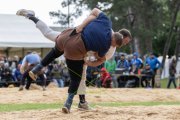 BASELSTAEDTISCHER SCHWINGERTAG