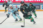 OLTEN - HCC
