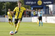 YB - KRIENS