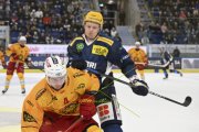 AMBRI - TIGERS