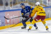 FRIBOURG - TIGERS