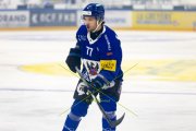 FRIBOURG - TIGERS