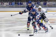 GCK LIONS - OLTEN