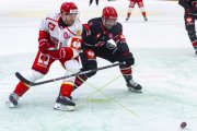LAUSANNE - MOUNTFIELD