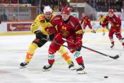 TIGERS - BERN
