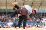 118. NORDWESTSCHWEIZER SCHWINGFEST
