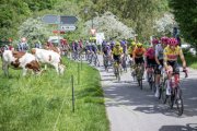 TOUR DE ROMANDIE 2025