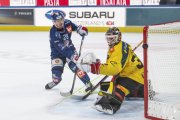 ZSC - BERN