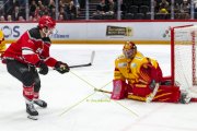 LAUSANNE - TIGERS