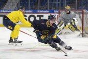 TRAINING SCHWEDEN