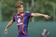 BASEL - WIL