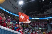 DEUTSCHLAND - SCHWEIZ
