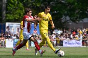 LIESTAL - YB