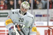 TIGERS - FRIBOURG