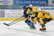 AMBRI - AJOIE