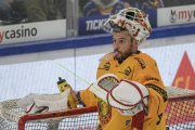 ZUG - TIGERS