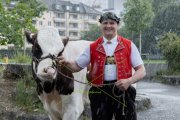 BASELSTAEDTISCHER SCHWINGERTAG