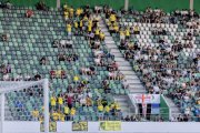 ST.GALLEN - NORWICH