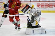 TIGERS - FRIBOURG