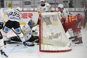 TIGERS - FRIBOURG