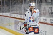 TIGERS - ZSC