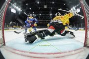 ZSC - BERN