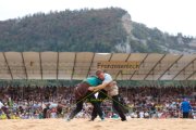 118. NORDWESTSCHWEIZER SCHWINGFEST