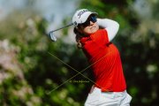 ALLEGRIA OPEN 2026