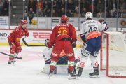 TIGERS - ZSC