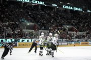 FIALA ALLSTARS - ZSC