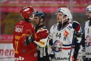 TIGERS - ZSC