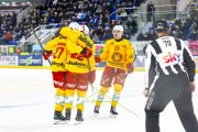 AMBRI - TIGERS