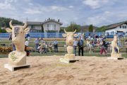SOLOTHURNER KANTONAL SCHWINGFEST