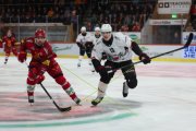 TIGERS - LAUSANNE