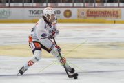 TIGERS - ZSC