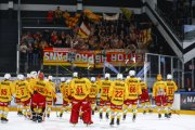 LUGANO - TIGERS