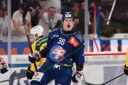 ZSC - BERN