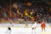 TIGERS - LUGANO