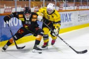 SCB - AJOIE