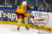 FRIBOURG - TIGERS