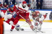 TSCHECHIEN - DAENEMARK