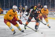 BERN - TIGERS