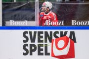 SCHWEDEN - SCHWEIZ