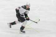 WINNIPEG - ARIZONA