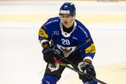 FRIBOURG - TIGERS