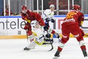 AMBRI - TIGERS