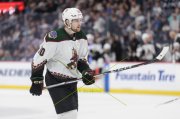 WINNIPEG - ARIZONA